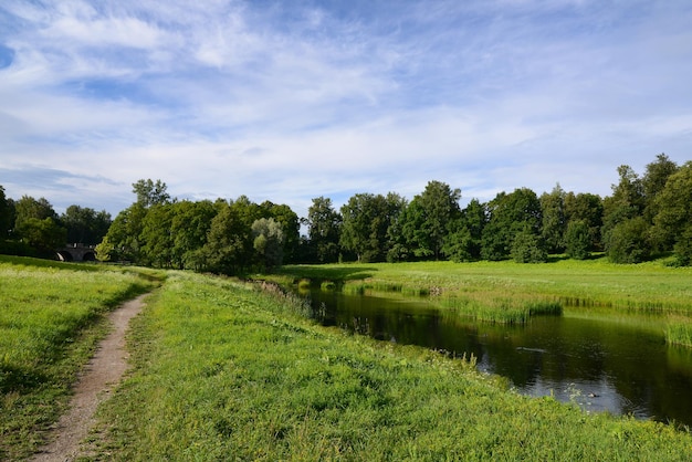 Beautiful nature landscape with river pond a green summer  meadow wildflowers Pavlovsky park valley