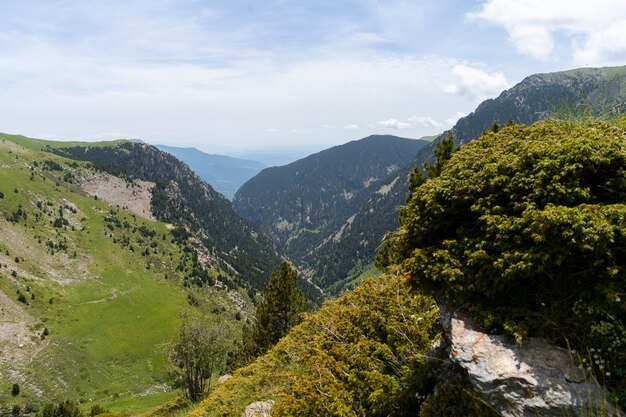 Foto splendida vista sulla posizione della natura