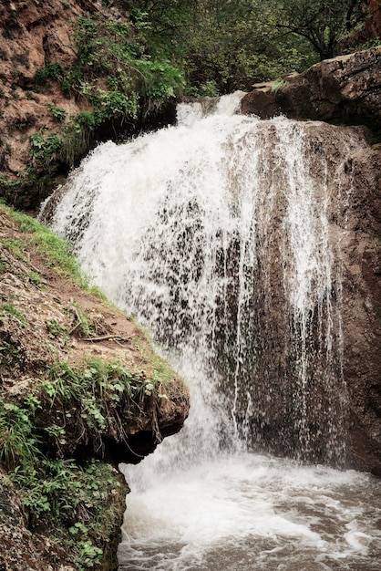 Beautiful nature. Mountain waterfall surrounded with trees