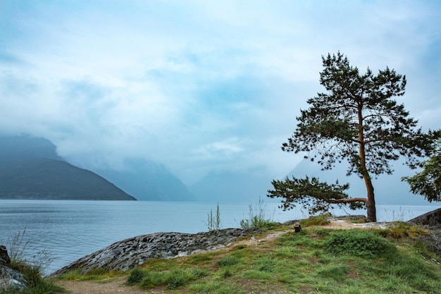 美しい自然ノルウェーの自然の風景。