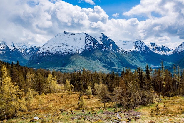 美しい自然ノルウェーの自然の風景。