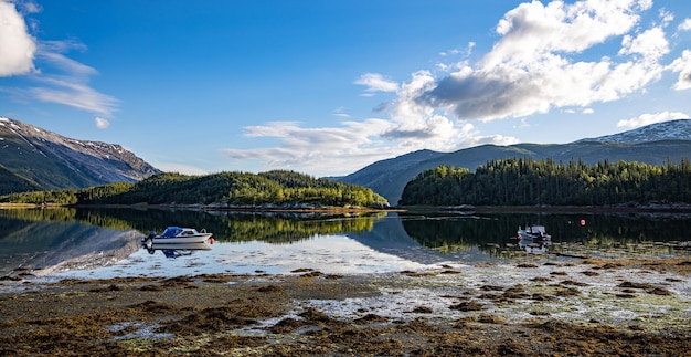 美しい自然ノルウェーの自然の風景。