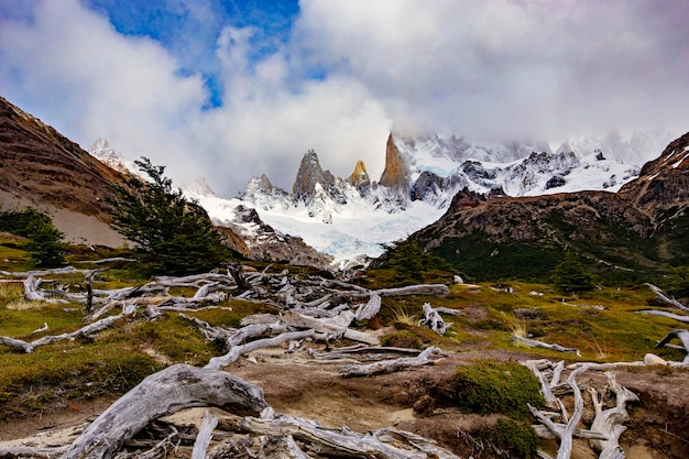 Beautiful nature of Patagonia. Fitz Roy trek, view of Andes mountains, Los Glaciers National Park, E