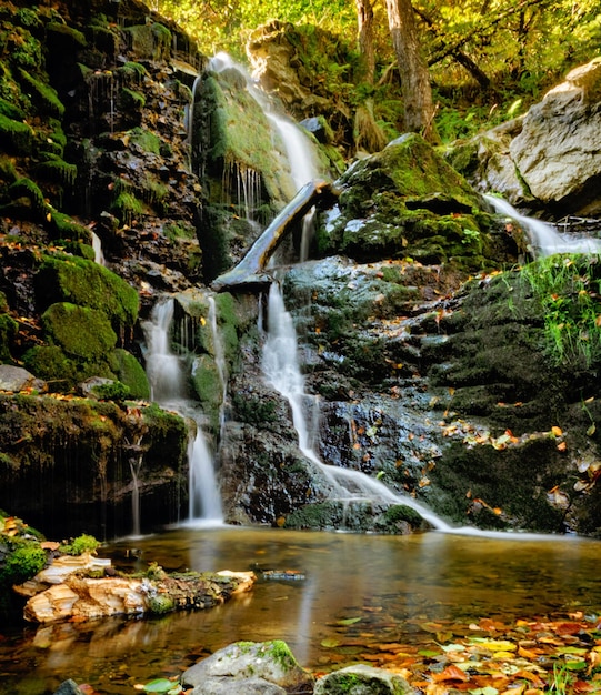 Beautiful nature in romania