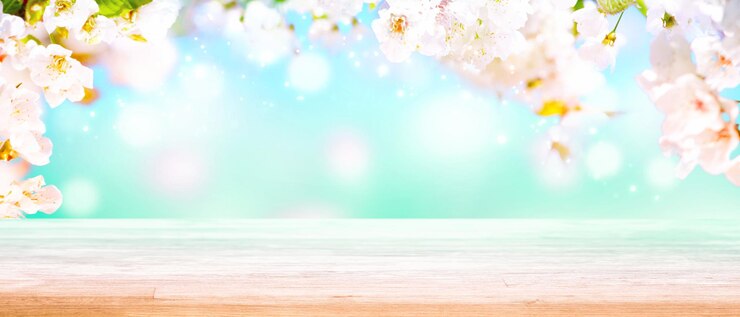 Photo 花が咲く美しい自然のシーン