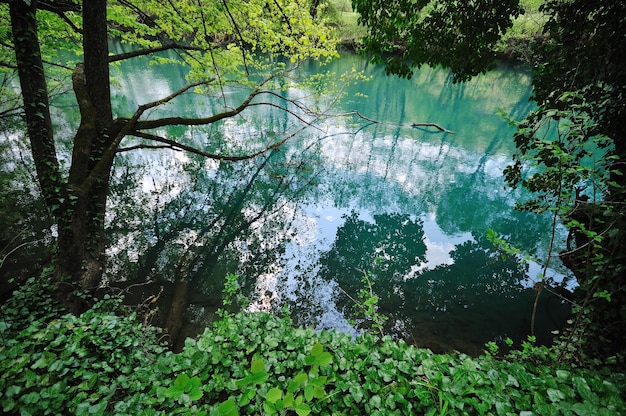 beautiful nature scene with river and waterfall at spring seasson