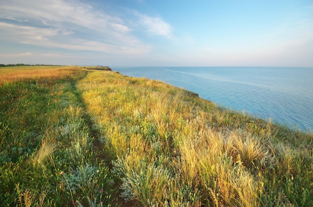 Beautiful nature and seascape Composition of nature