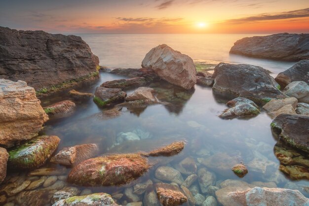 Beautiful nature seascape composition