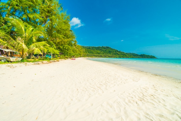 Beautiful nature tropical beach and sea with coconut palm tree on paradise island