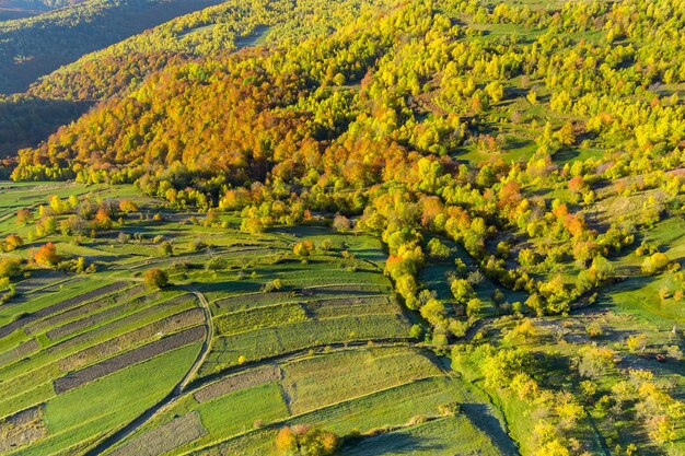 写真 美しい自然、暖かい秋の朝、魅力的な山