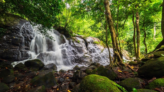 Beautiful nature waterfall