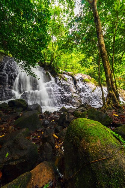 Beautiful nature waterfall