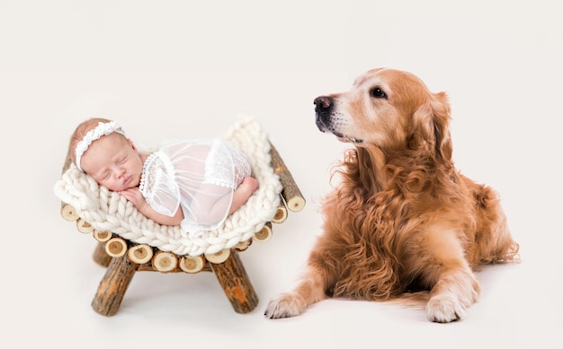 Beautiful newborn sleeping on wooden pedestal with her dog