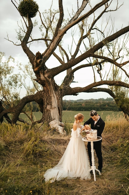 写真 自然の中でウエディング ケーキを切る美しい新婚夫婦