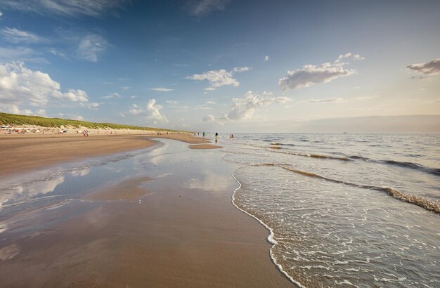 beautiful North sea sand beach in summer