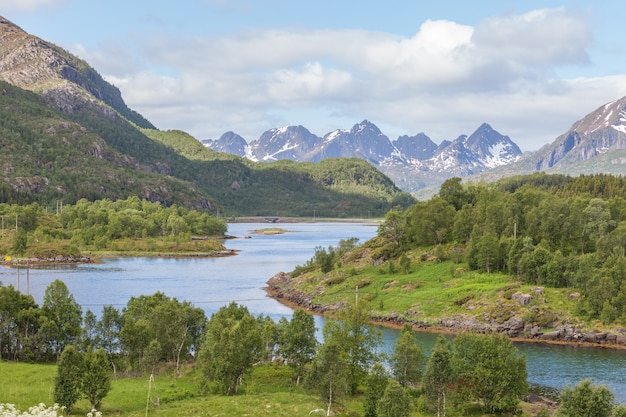 美しいノルウェーの風景。フィヨルドの眺め