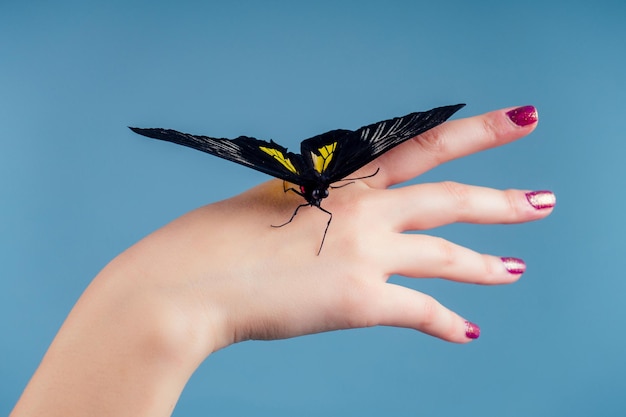 Beautiful nude woman on blue background.girl and a beautiful butterfly