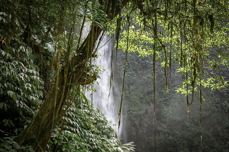 人気の観光地であるバリの熱帯林の美しいヌンヌン水