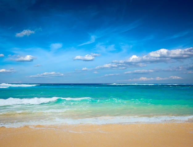 夏の美しい海のビーチ