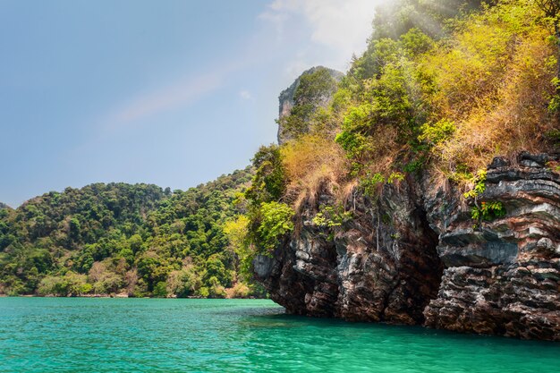 Beautiful ocean landscape