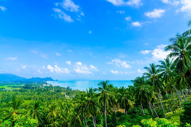 beautiful ocean sea veiw at Naern Thae Wada viewpoint in Nakhon Si Thammarat, Thailand