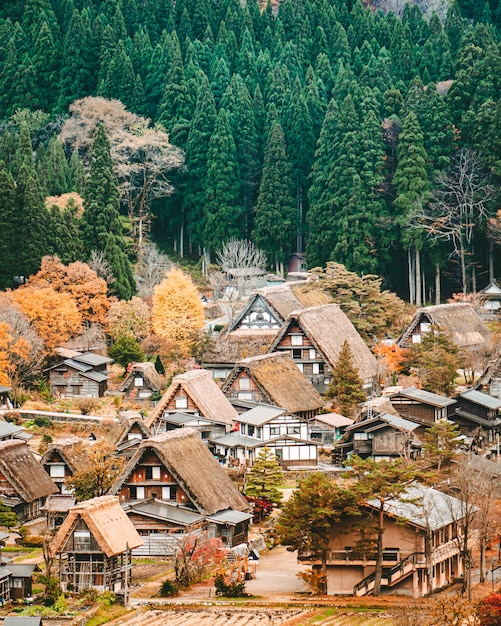 写真 白川村の美しい古い日本の小屋