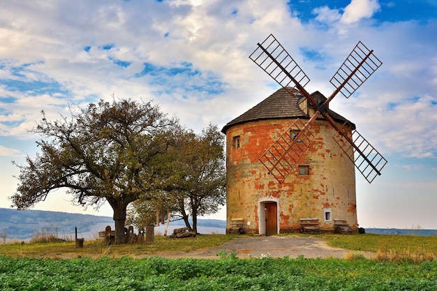 Beautiful old windmill in autumn time Landscape photo with architecture at sunset golden hour Kunkovice  Czech Republic  Europe