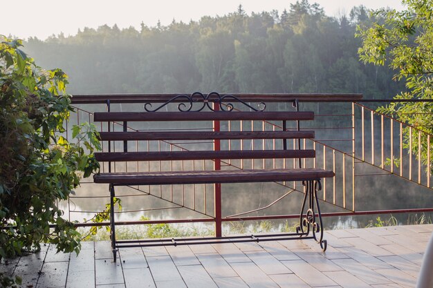 Beautiful openwork bench at dawn on shore of  lake in summer