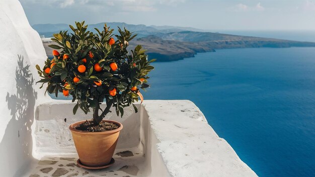 Beautiful orange plant in a pot on a white stone balcony in a greek island