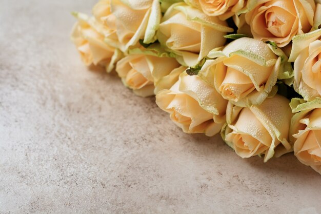 Beautiful orange roses over a light concrete background. Diagonal composition