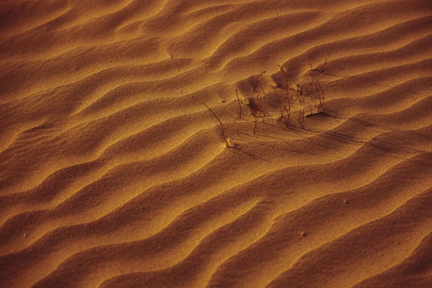 Photo beautiful orange sand at sunset as a background