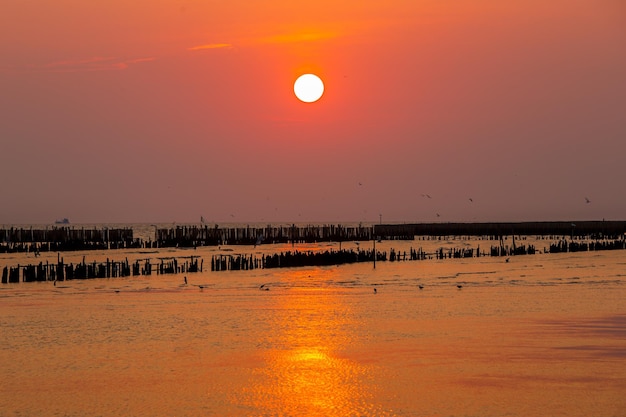 Bellissimo tramonto arancione sul mare il sole tramonta all'orizzonte rilassante paesaggio marino purple sh