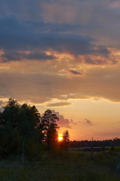 夏の森の美しいオレンジ色の夕日