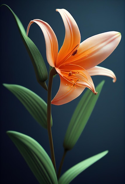 Beautiful Orange Tango Lily flower on grunge wall background