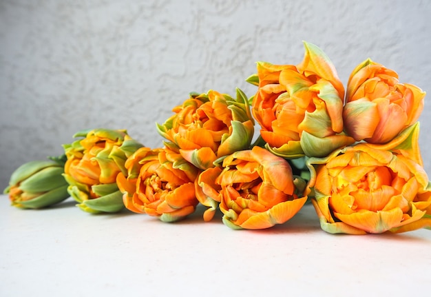 Красивые оранжевые тюльпаны на белом фоне идеально подходят для фоновой поздравительной открытки