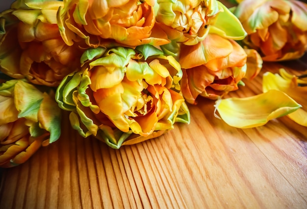 Beautiful orange tulips on a wooden table perfect for background greeting card