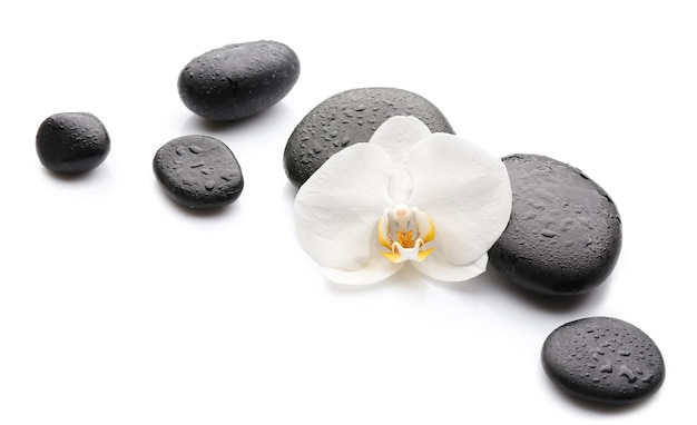 Beautiful orchid flower with stones on white background