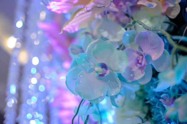 Beautiful orchids on the background of the colorful lights