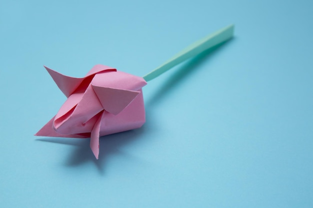 Beautiful origami tulip lying on blue background