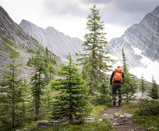 Bellissimo paesaggio naturale all'aperto