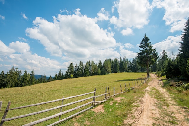 Beautiful outdoor view