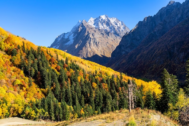 Bellissimo panorama di alte montagne rocciose con cime innevate, possenti ghiacciai e luminose foreste autunnali nei colori giallo e arancione