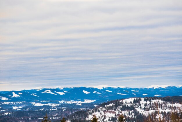 Photo beautiful panorama of mountain slopes with trails overlooking the hills and coniferous forests