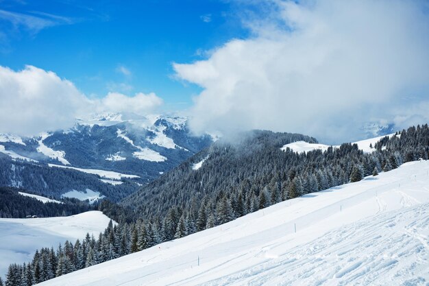 Beautiful panorama of mountain valley forest covered with snow