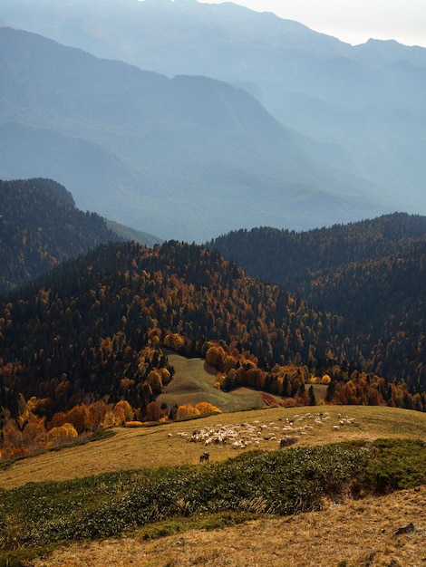 A beautiful panorama of mountains aerial perspective distant peaks in a blue haze freedom and beauty...