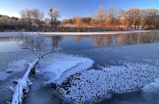 Красивая панорама снежного леса