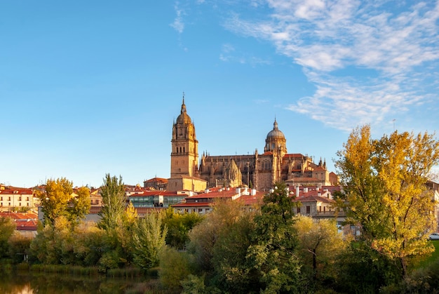 Beautiful panoramic of Salamanca