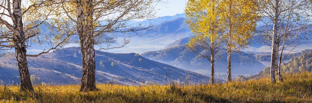 Beautiful panoramic view of autumn nature