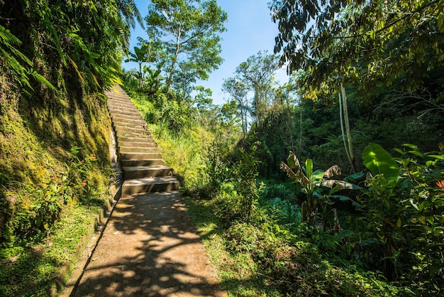 A beautiful panoramic view of Bali Indonesia