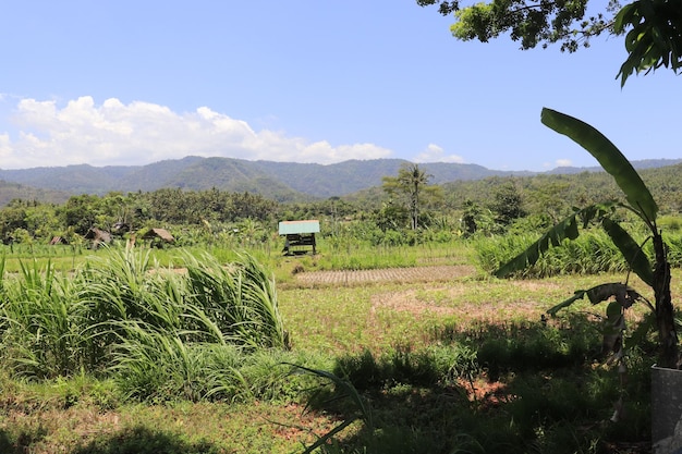 A beautiful panoramic view of Bali Indonesia